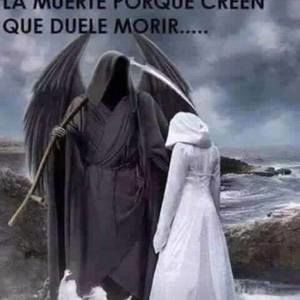 Meet your Posher, Selvin